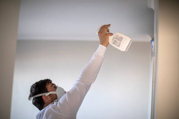 Best Residential Mold Remediation in Summerfield, NC
