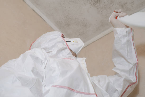 Best Crawl Space Mold Remediation in Summerfield, NC